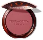 Terracotta Blush Bra Face Effect Blush 1 Enhet