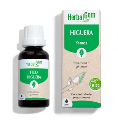 Fig Tree 30 ml Bio