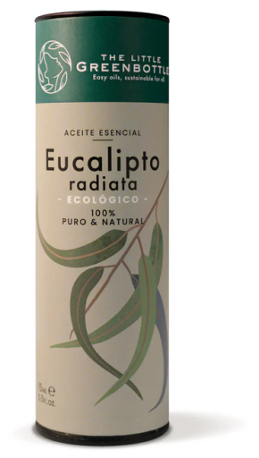 Ekologisk Eucalyptus Radiata eterisk olja 15 ml