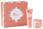 3-delat Radiance Nutrition-set
