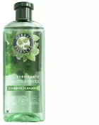 Mint Reng&ouml;rande Schampo 350 ml